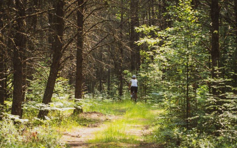 Endurance Bike vs. Gravel Bike [Similarities and Differences Explained]
