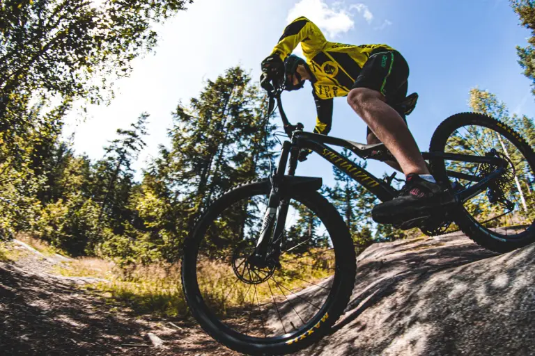 BMX Bike vs. Mountain Bike: Which is Which?